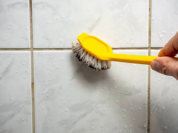 Best Mold Testing  in Fish Hawk, FL