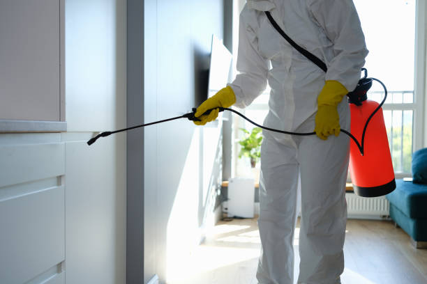 Best Mold Testing  in Fish Hawk, FL