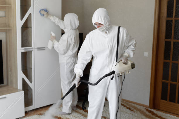 Best Commercial Mold Removal  in Fish Hawk, FL